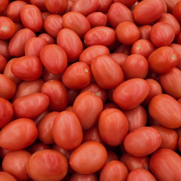 ROMA TOMATOES #1 - Image 2