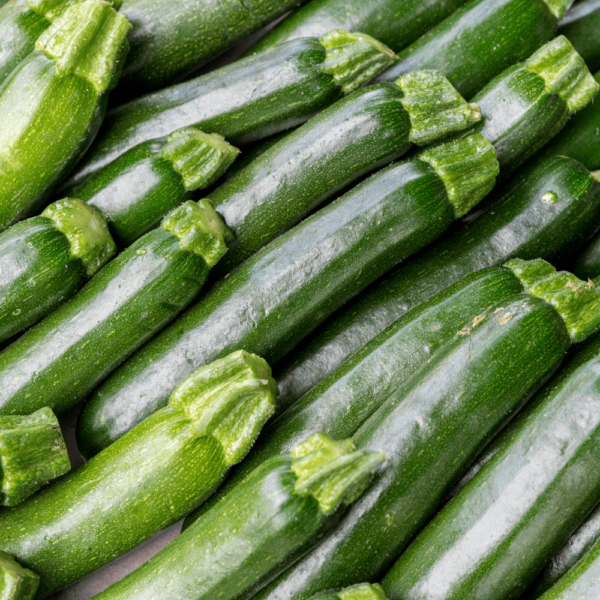 ZUCCHINI - Image 2