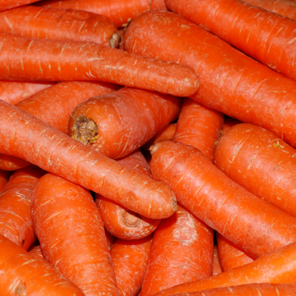 JUMBO CARROTS (10KG) - Image 3