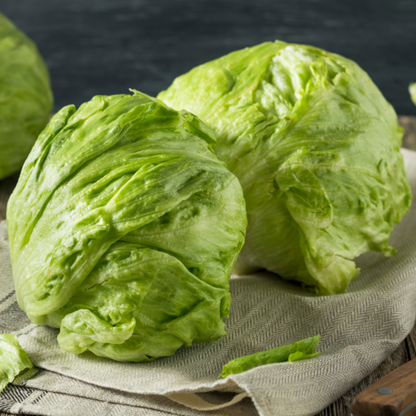 LETTUCE HEAD - Image 2